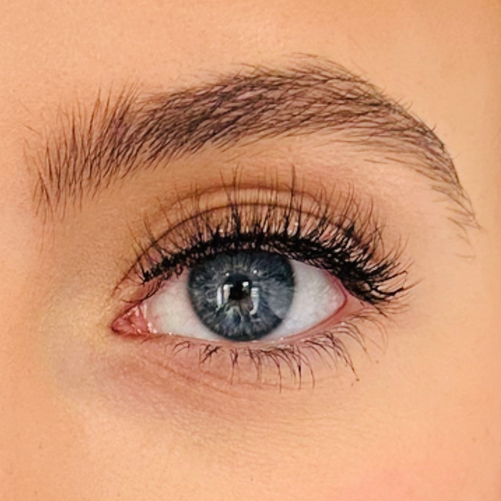 OC2 CLASSIC LASH