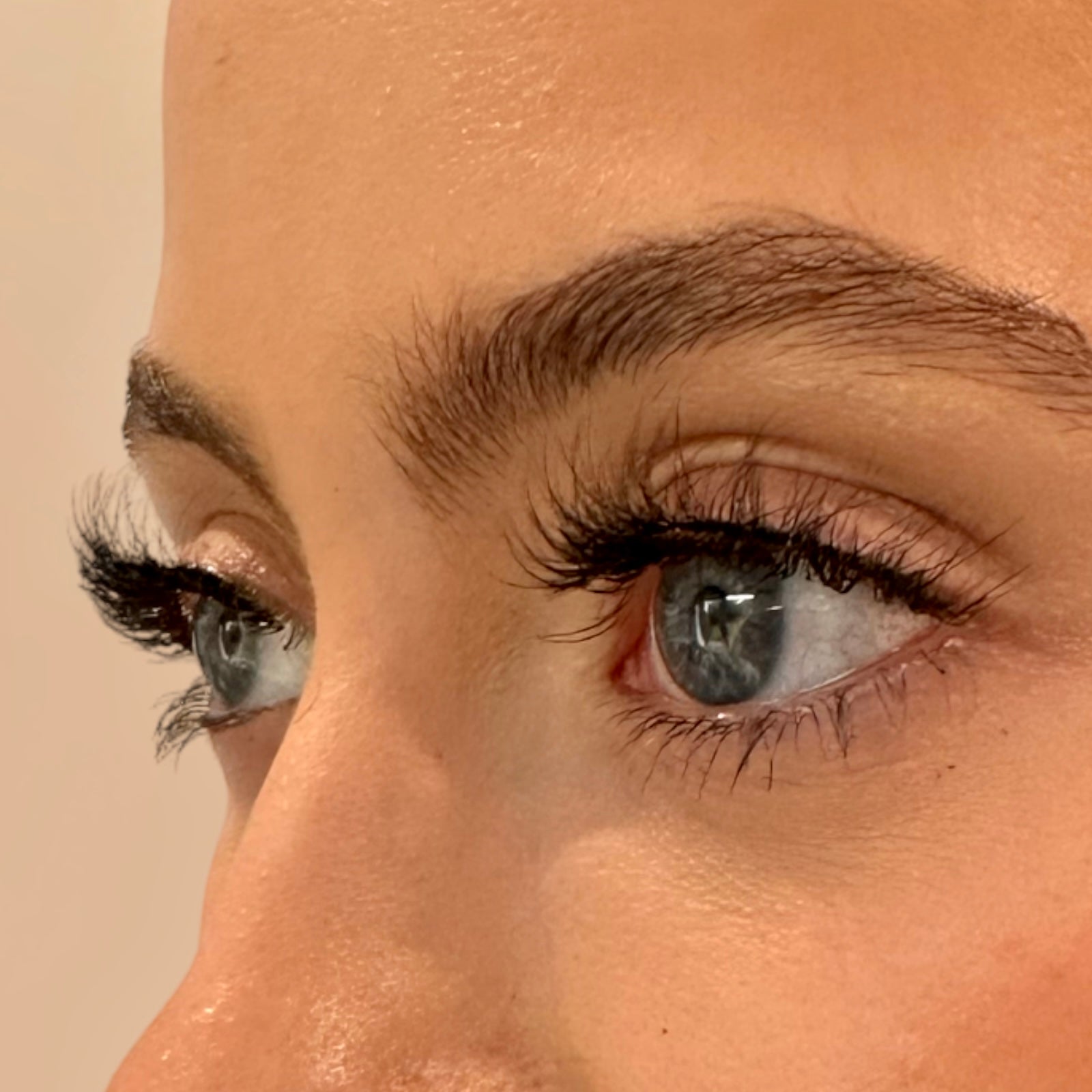 OC5 CLASSIC LASH