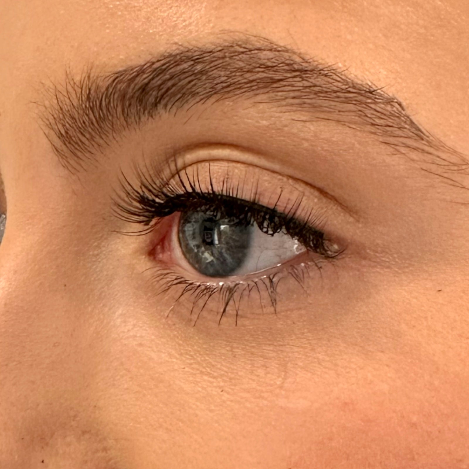 OC6 CLASSIC LASH