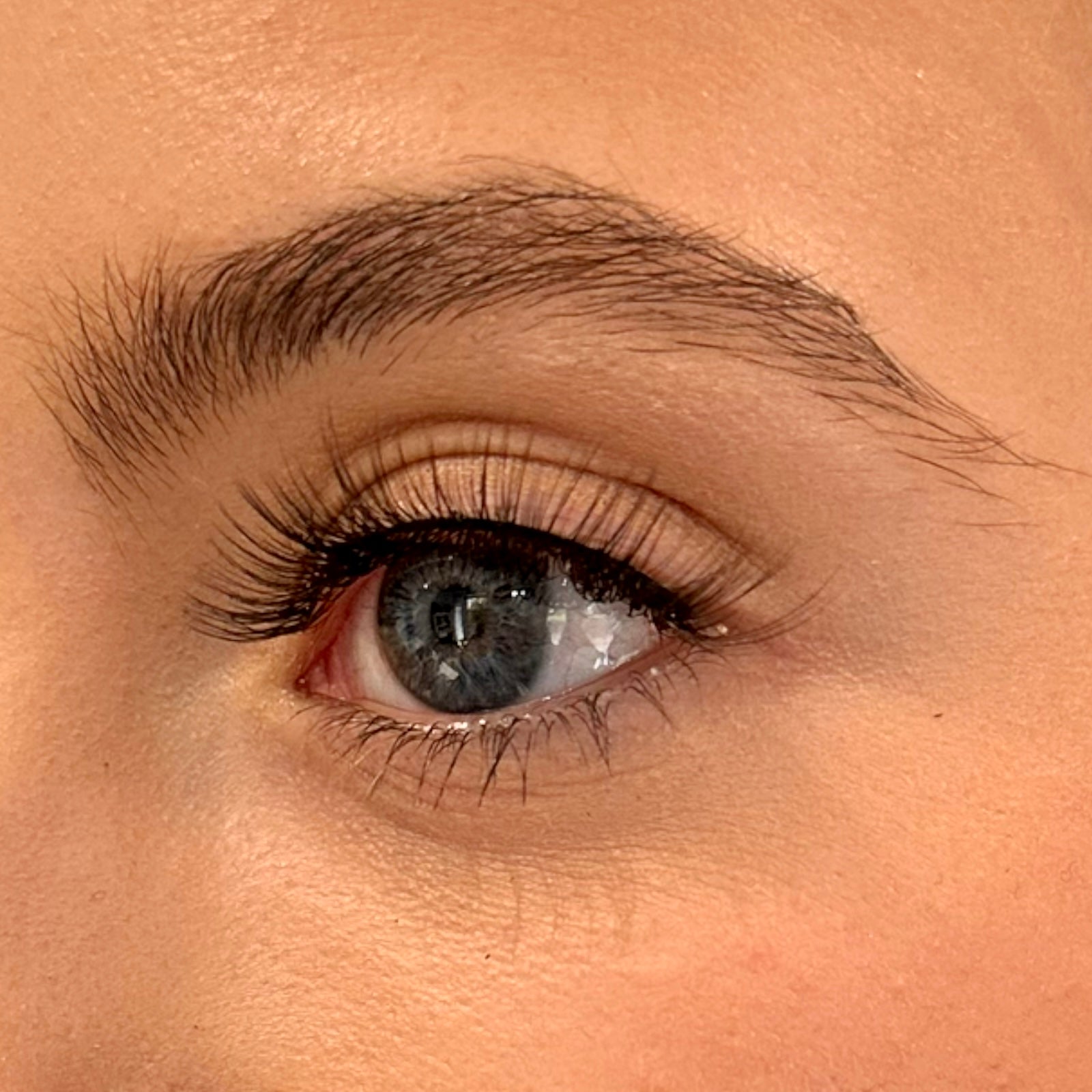 OC7 CLASSIC LASH